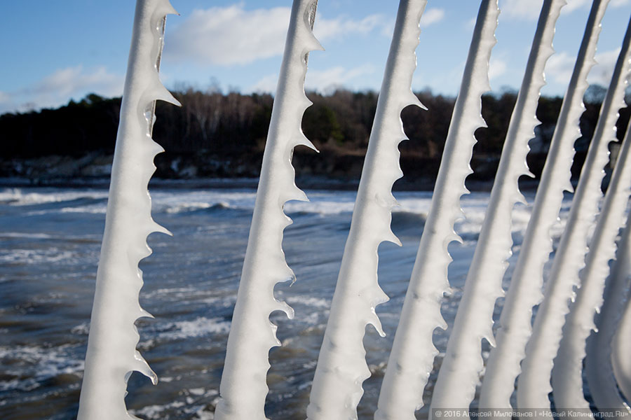 Президенция Деда Мороза: набережная в Пионерском после шторма (фото)