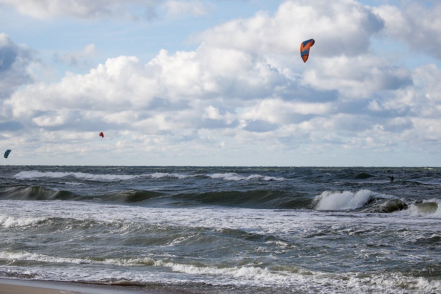 Виталий Невар / Новый Калининград