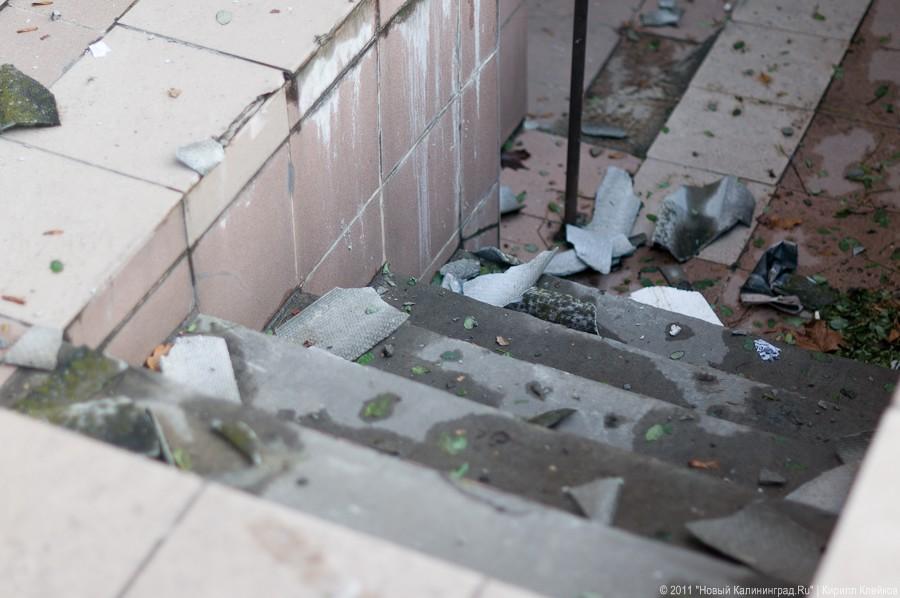 «А поутру они проснулись»: фоторепортаж «Нового Калининграда.Ru»