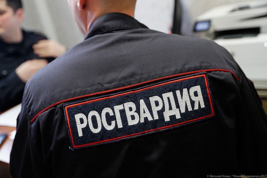 Росгвардию хотят обязать охранять посевы наркосодержащих растений