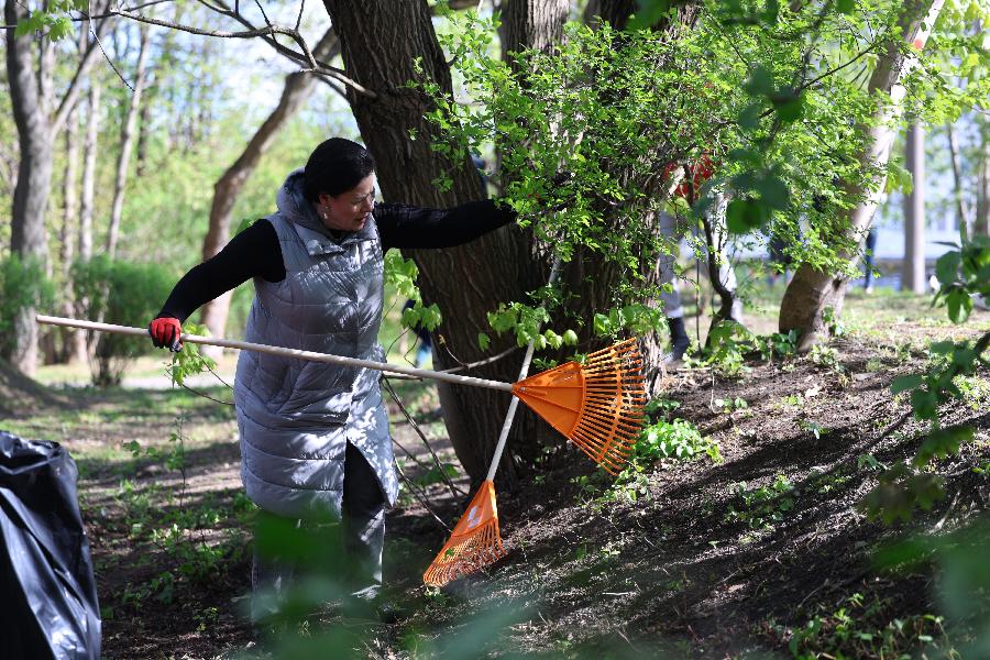 26 апреля: глава администрации Калининграда Елена Дятлова на субботнике