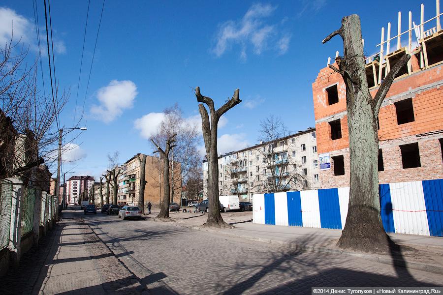 Продам квартиру с видом на Литву: дома и улицы города Советска