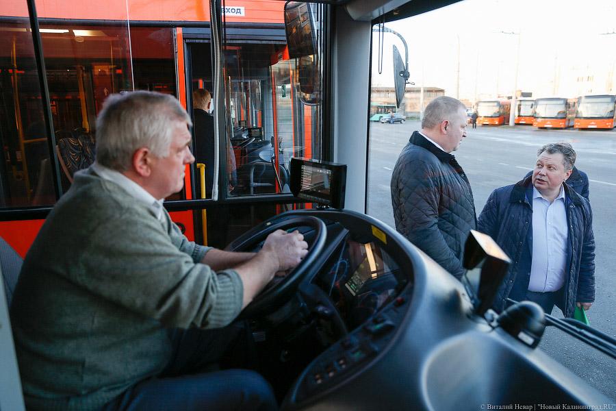 «Сделав шаг»: в Калининграде появились новые низкопольные автобусы (фото)