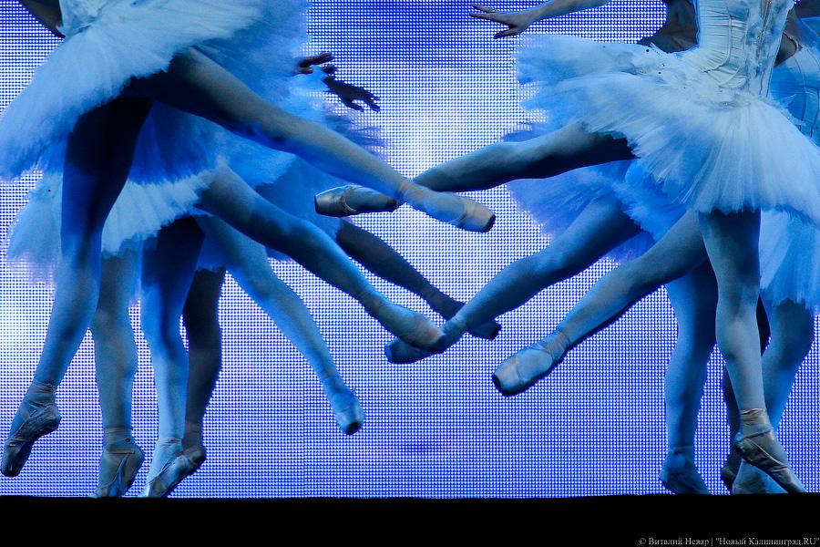 Балет и красная дорожка на набережной: как Верхнее озеро стало «Лебединым»