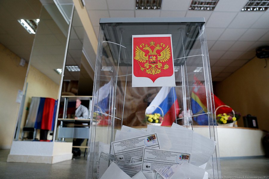 В Калининграде «Единая Россия» набрала порядка трети голосов