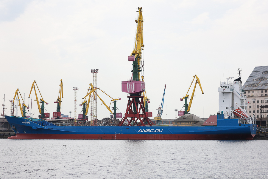 Эксперт: в Калининградской области образовался 40% профицит экспортного зерна