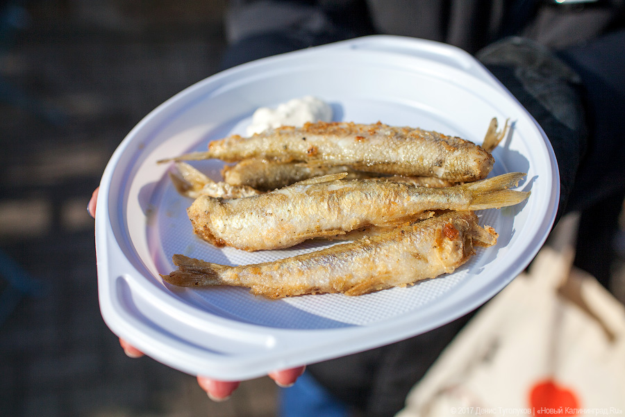 Рыба большая и маленькая: как прошёл День корюшки в Ниде