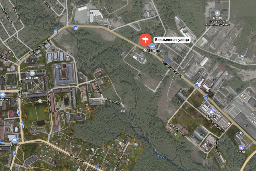 Изображение: скриншот «Яндекс Карты»