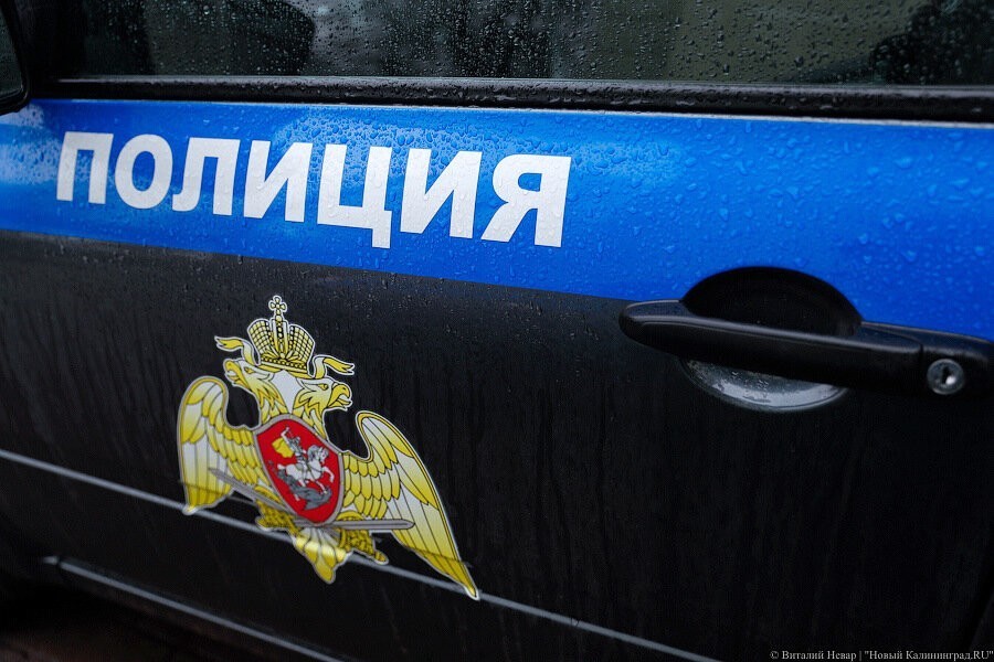 В Озерске полицейские раскрыли кражу дуба, устроив следственный эксперимент