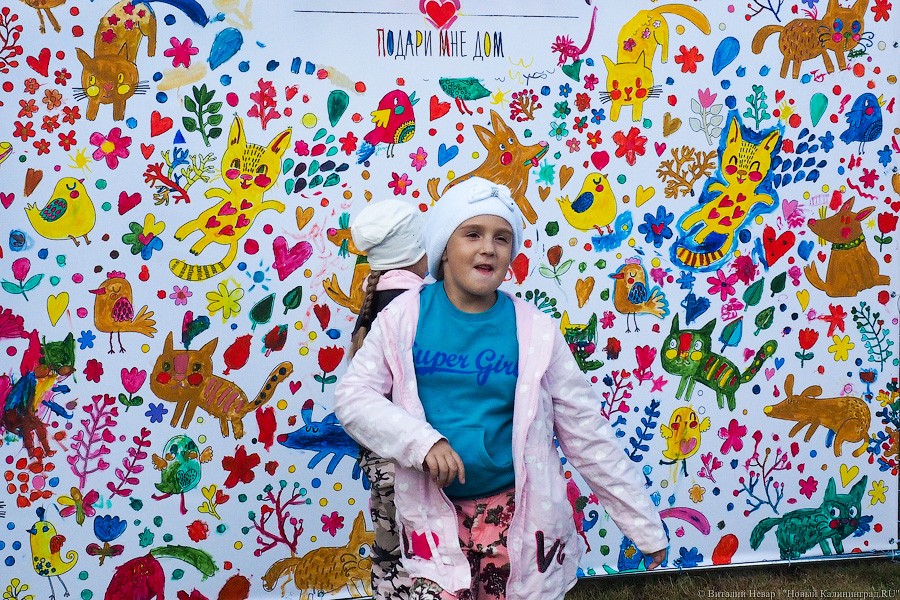 Подари мне дом: на Верхнем озере организовали выставку бездомных животных