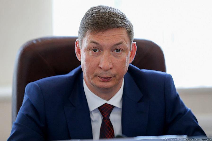 Верхолаз про территорию Суздальского леса: «Никаких жуков там нет»