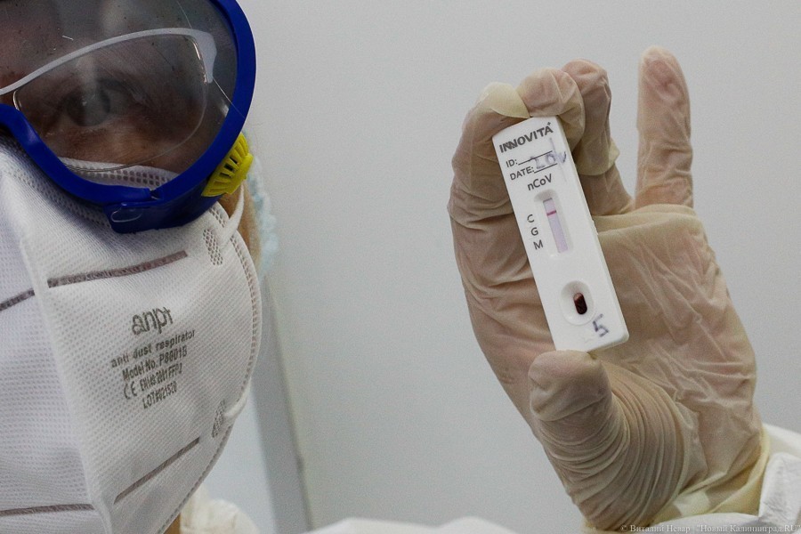 В Калининградской области за сутки выявили еще 35 случаев коронавируса