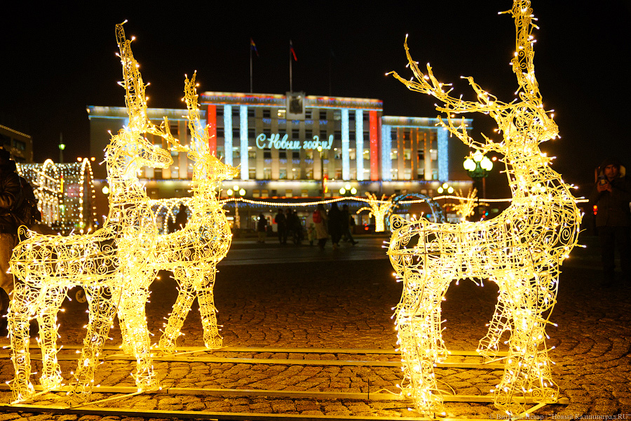 Калининград тоже украсили к Новому году. Сможете определить, где лучше? (фото)