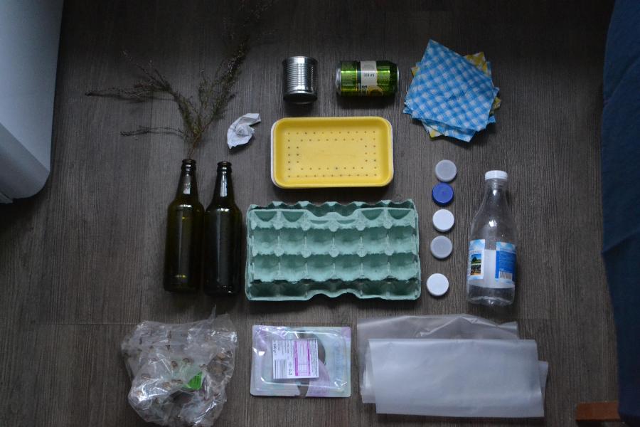 В Зеленоградске рассказали о подробностях проекта, включающего Музей мусора