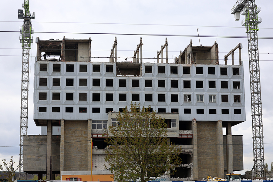 Фото: Юлия Власова / Новый Калининград