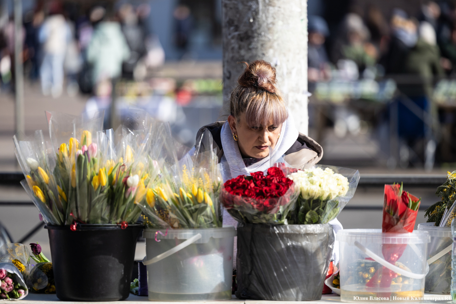 Мимозно-тюльпанный ажиотаж: Калининград накрыла традиционная цветочная лихорадка (фото)