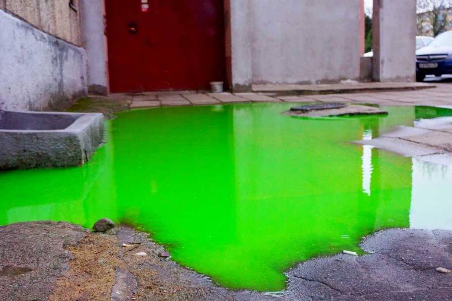 «Калининградтеплосеть» призывает сообщать о красителях в водоёмах
