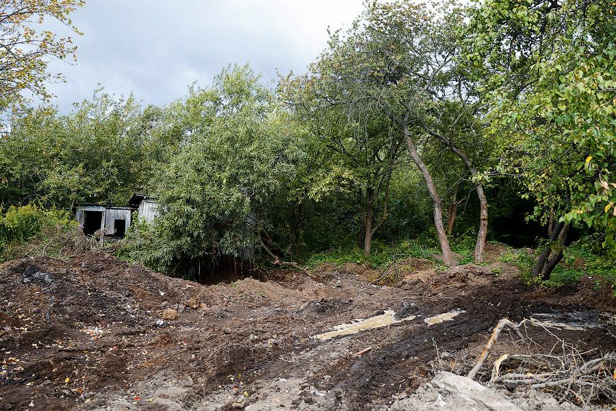 Фото — Виталий Невар, «Новый Калининград.Ru»