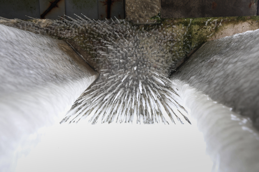 Мороз и море: как стихия украсила променад в Зеленоградске (фото)