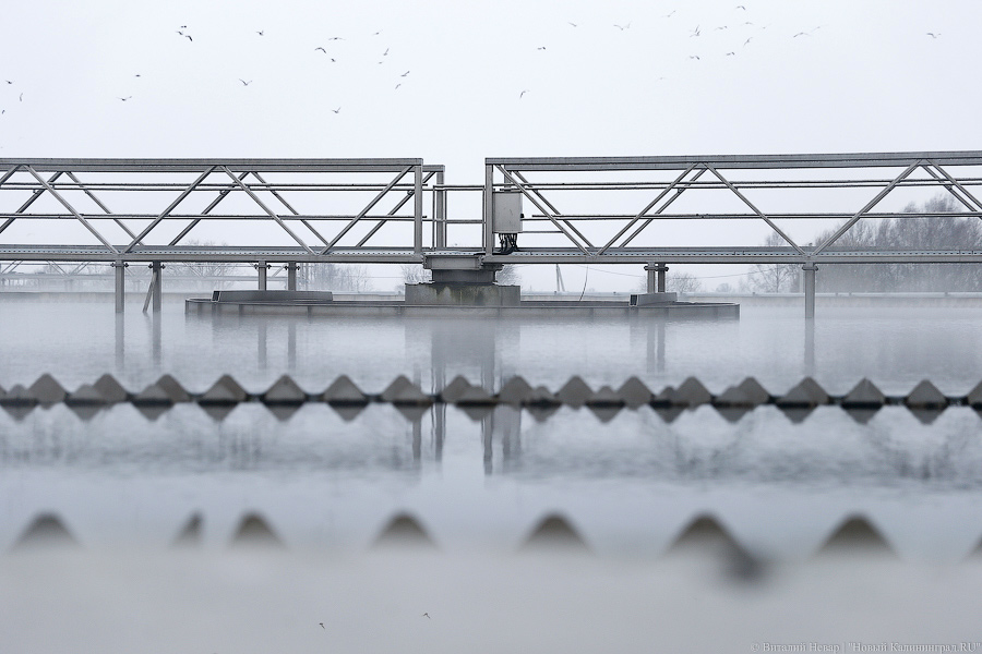 На хромой ноге по свалке: как Алиханов и Ярошук экологией занимались
