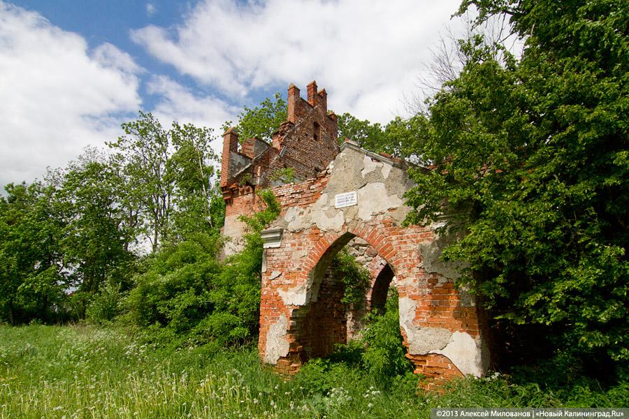 Забытые могилы: кирха и кладбище в поселке Тишино зарастают деревьями