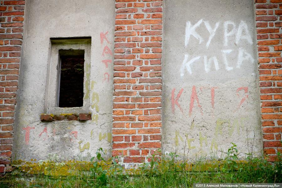 Часы и вороны: кирха в поселке Ушаково приходит в упадок