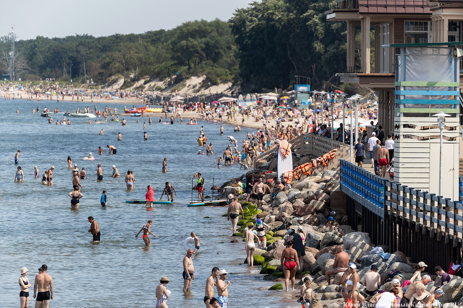 Опалённые солнцем: что происходит в Зеленоградске в рекордную жару (фото)