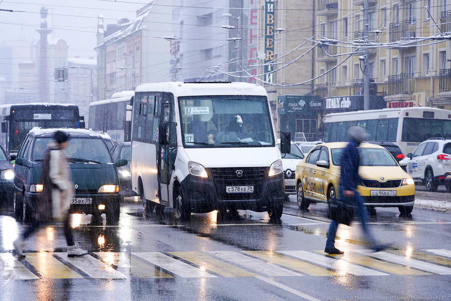 Власти Калининграда анонсировали появление выделенных полос для общественного транспорта