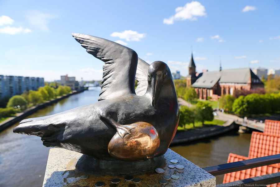 «Сезон будет — пламя Саурона!»: Ермак сообщил о загрузке калининградских отелей в марте