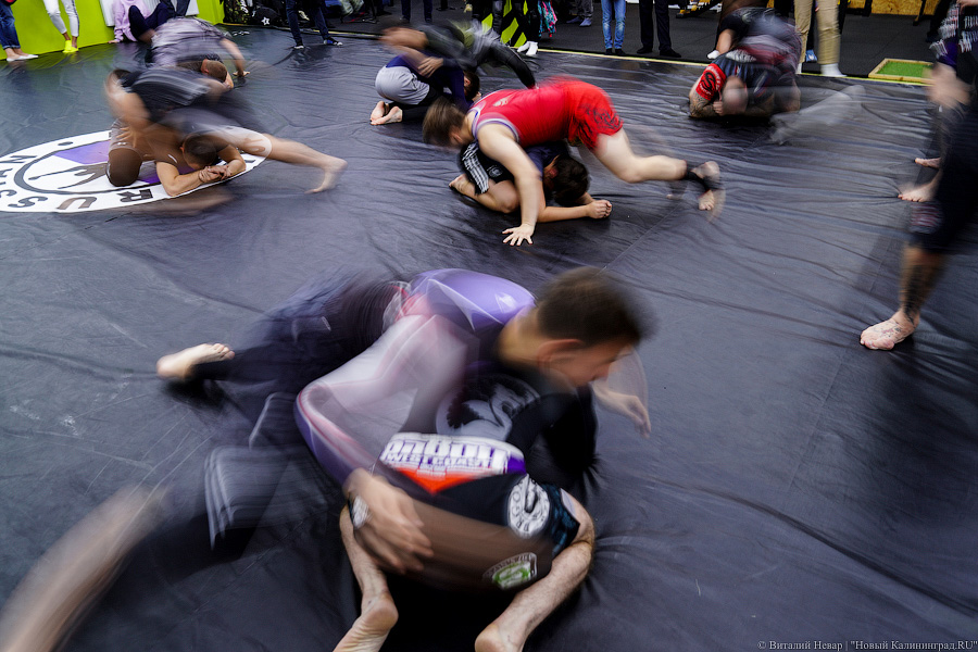 Крёстный отец смешанных единоборств: Джефф Монсон дал мастер-класс в Калининграде (фото)