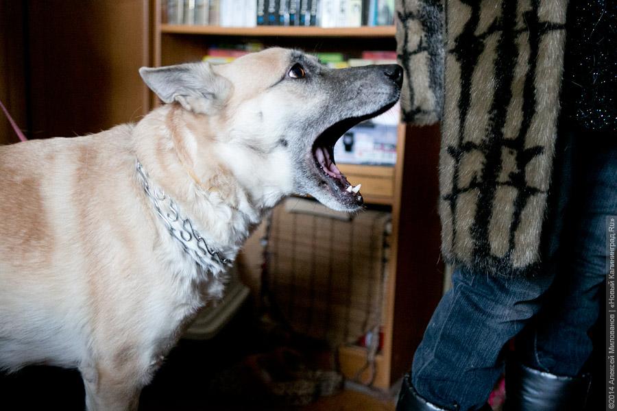 Собачий холод: в разгромленной бывшей казарме на Артиллерийской без тепла и воды живут люди