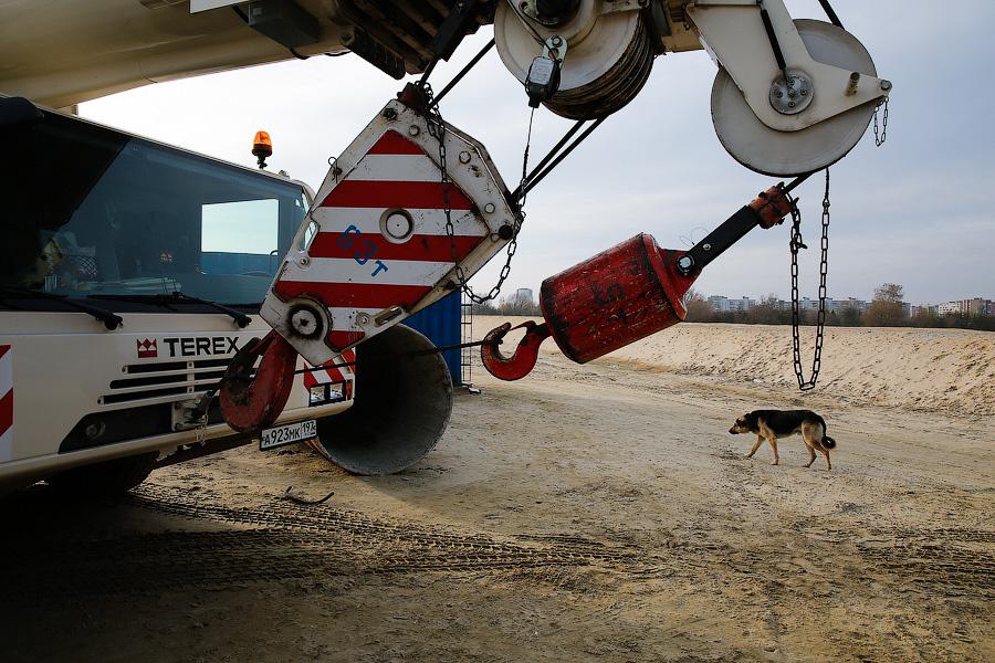 Фото — Виталий Невар, «Новый Калининград.Ru»