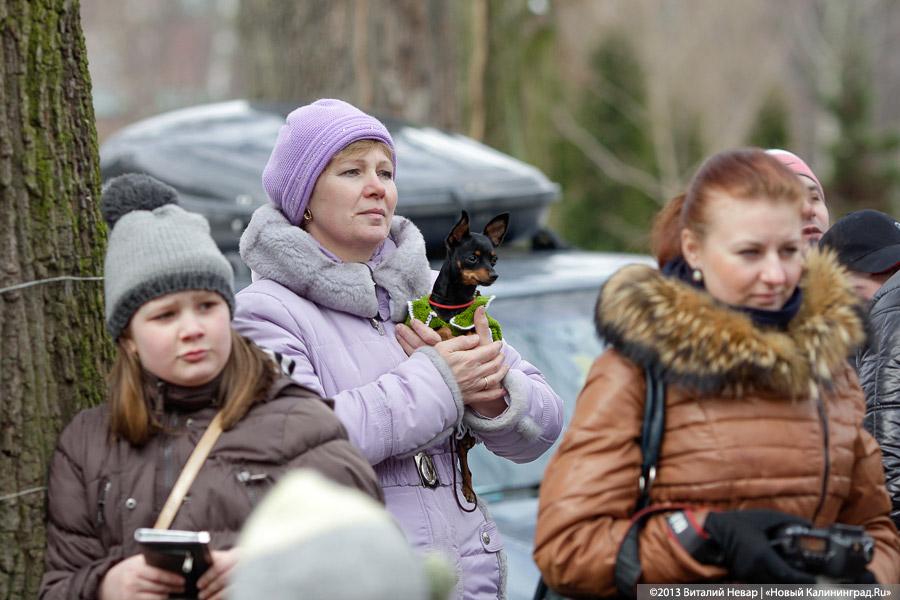 «Праздник для собак»: фоторепортаж из Ботанического сада