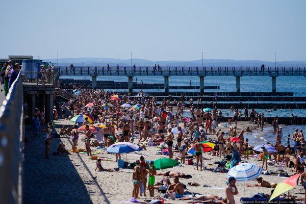 Погода в Калининграде 24 августа