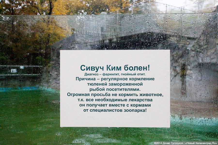 Звериные тропы: прогулка по зоопарку