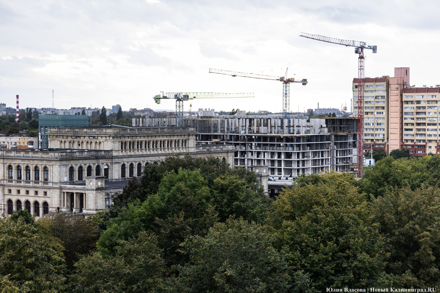 Кант и «коты Шрёдингера»: почему археологию в регионе отправляют на свалку истории