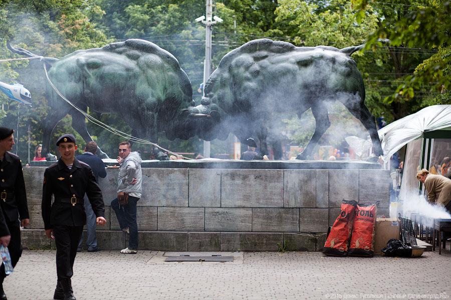 Шаг назад: достоинства и неудачи пешеходной зоны Дня города-2015