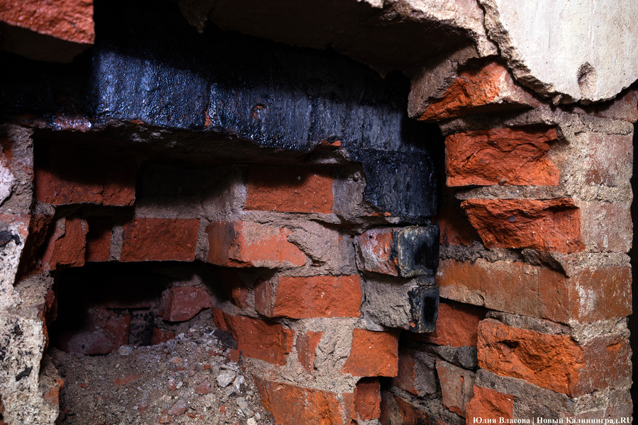 Настоящие подземелья Кёнигсберга: что находится в открывшемся провале на острове Канта (фото)