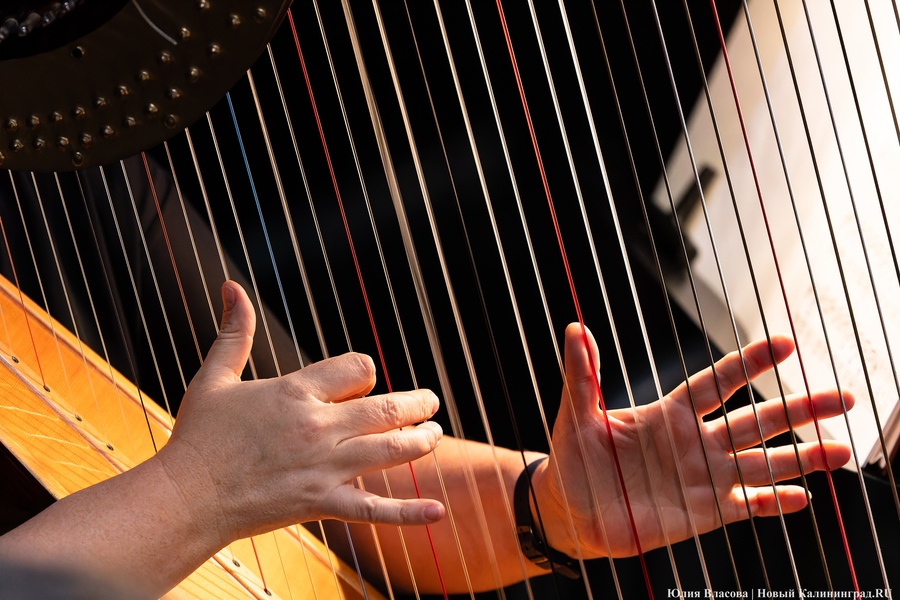 «Ему наскучил света шум»: в Светлогорске прошла опера «Евгений Онегин» (фото)