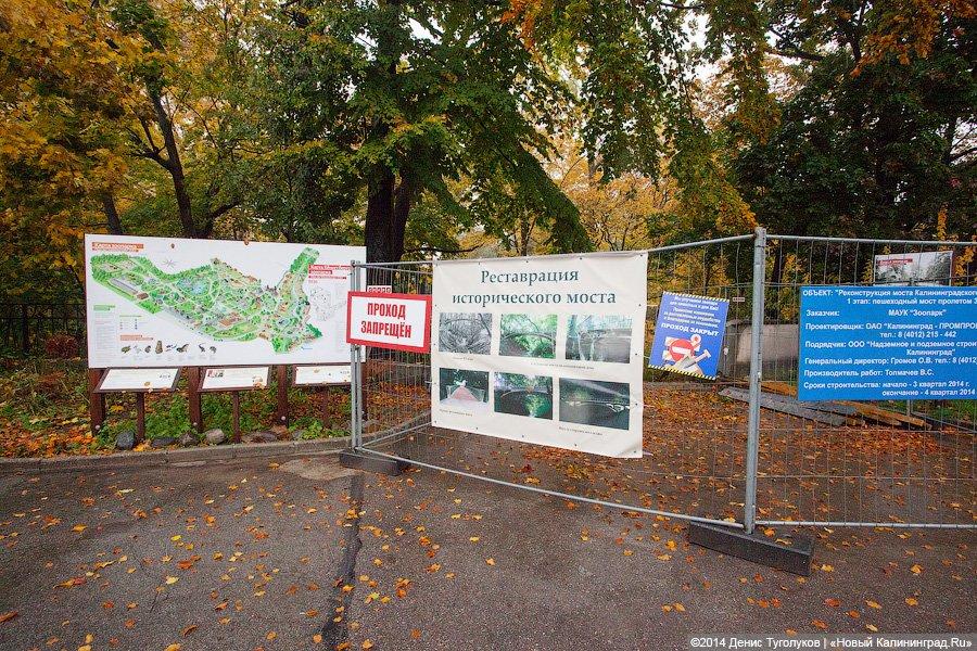 Звериные тропы: прогулка по зоопарку