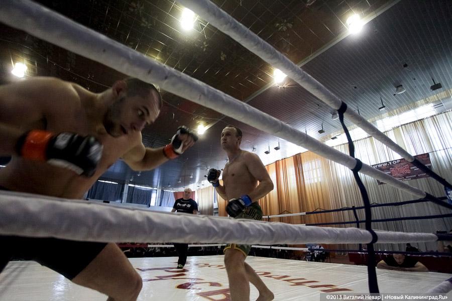 «Сопли в сторону»: фоторепортаж с Чемпионата области по смешанным единоборствам