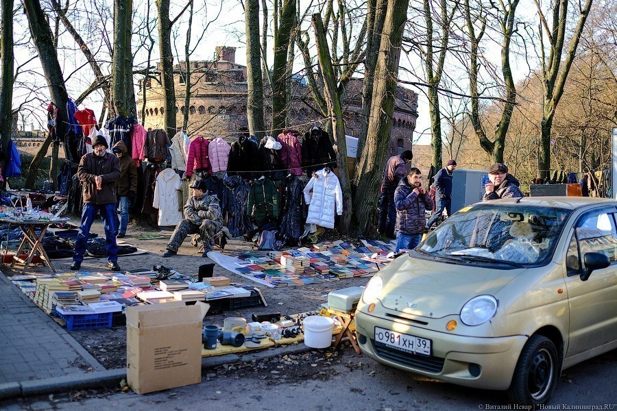 Созерцание и покой: в «Воротах» презентовали концепцию парка за башней Врангеля