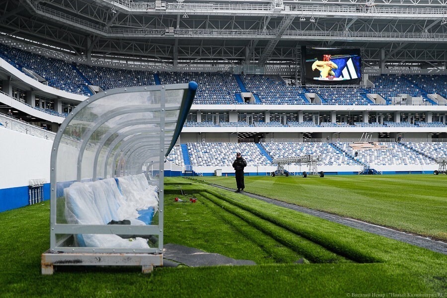 В УФАС пожаловались на фирму, которая должна была ухаживать за полем на новом стадионе  