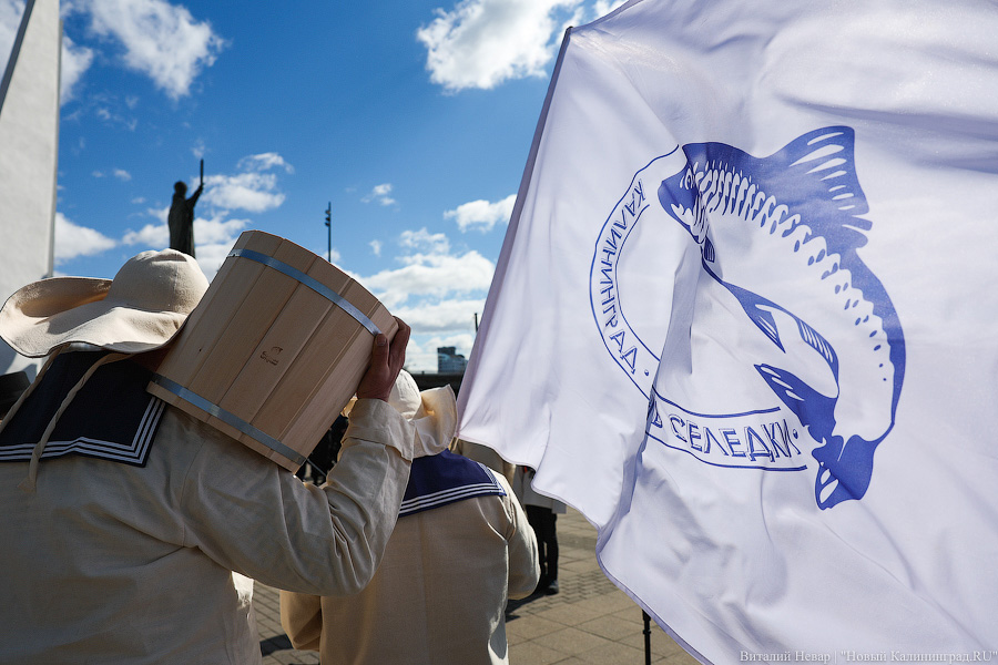 Рыжая заря и бульбачка: День селёдки вернулся в Калининград (фото)