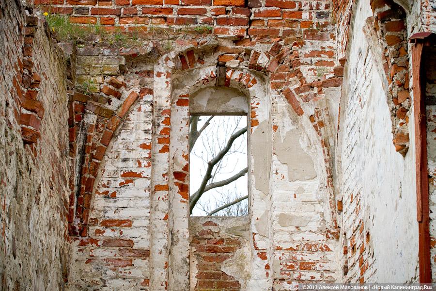 «А денег нет»: в переданной РПЦ кирхе 14-го века в Храброво валяются человеческие кости