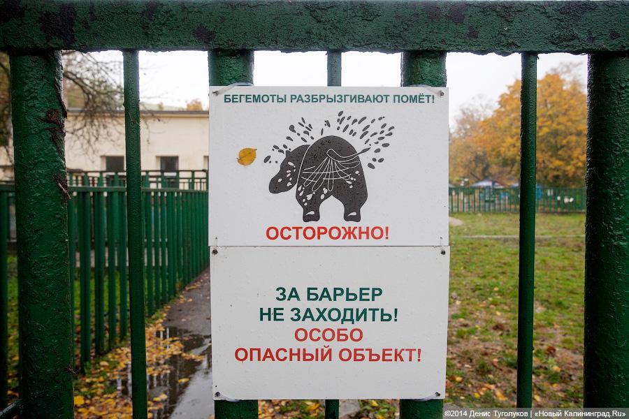 Звериные тропы: прогулка по зоопарку