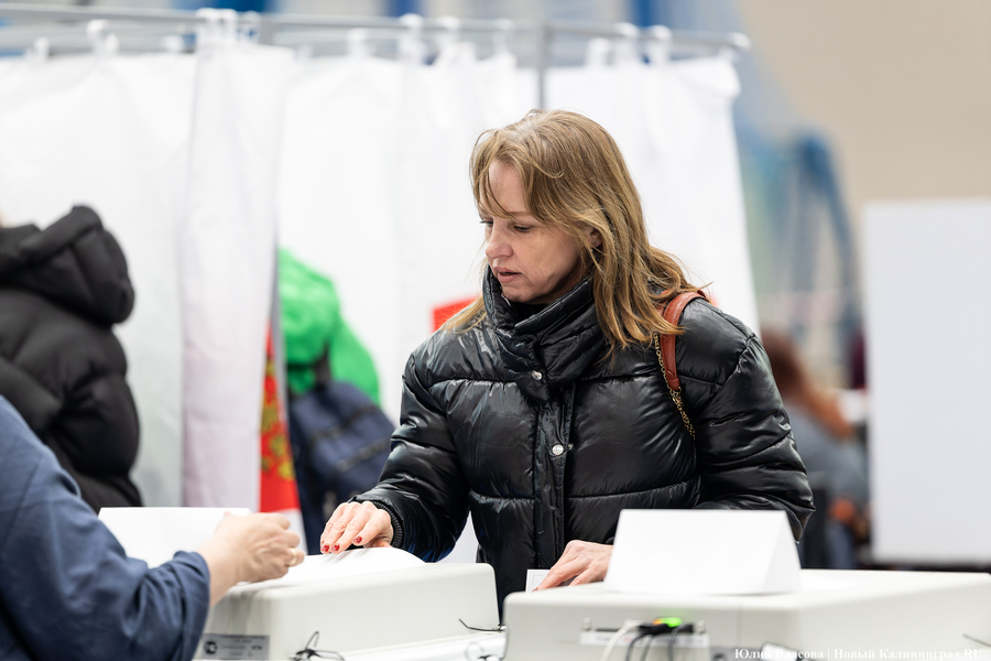 Один на ринге: как проходило голосование в Калининградской области (фото)
