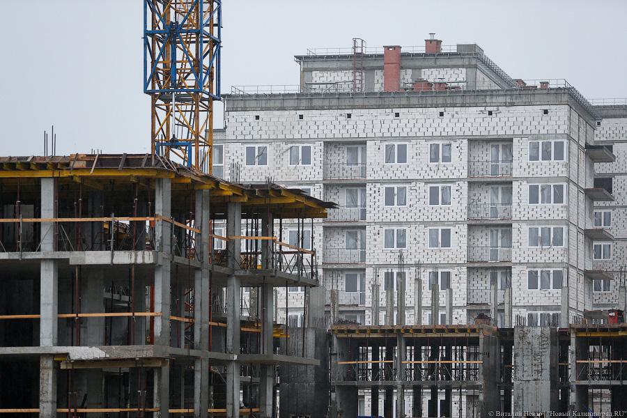 Фото — Виталий Невар, «Новый Калининград.Ru»