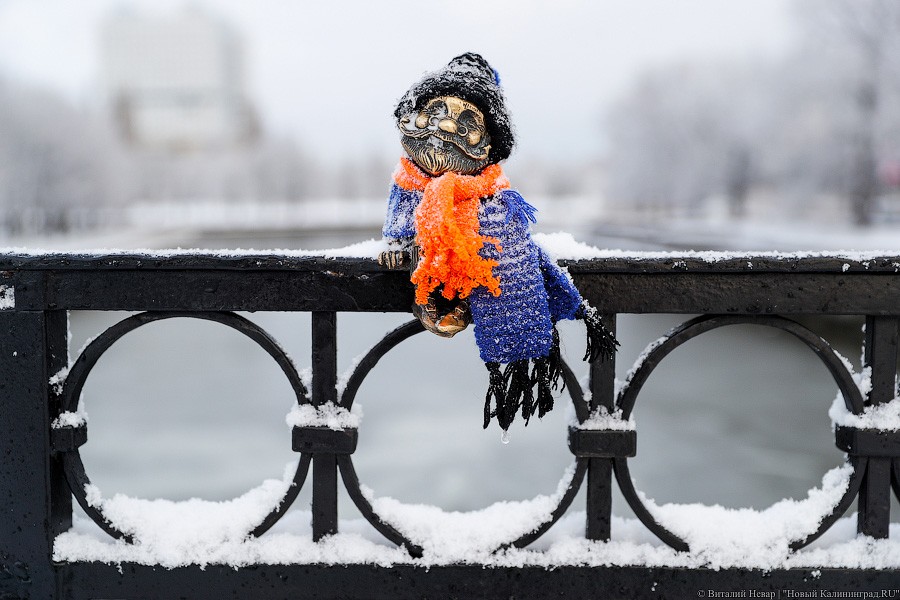 Синоптики прогнозируют похолодание в Калининграде