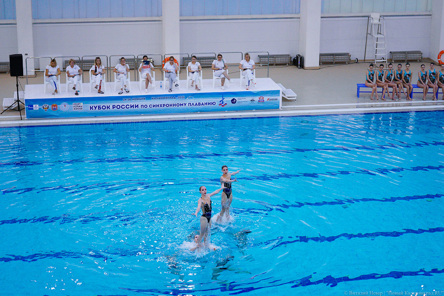 В Калининграде проходит Кубок России по синхронному плаванию. Вот как это выглядит (фото)